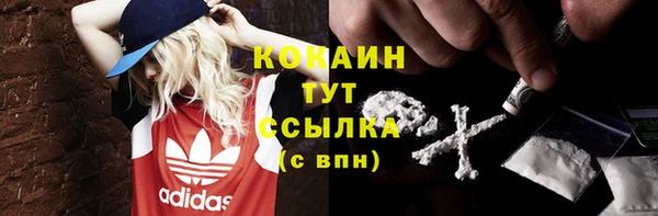 прущие крисы Арсеньев