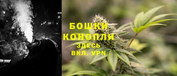 СК Аркадак