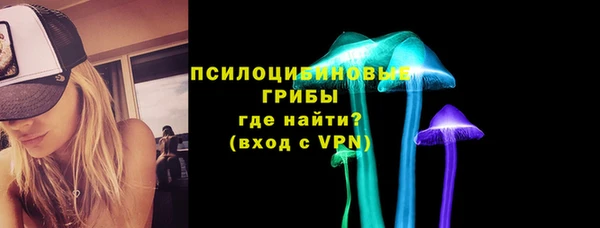 прущие крисы Арсеньев