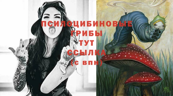 СК Аркадак