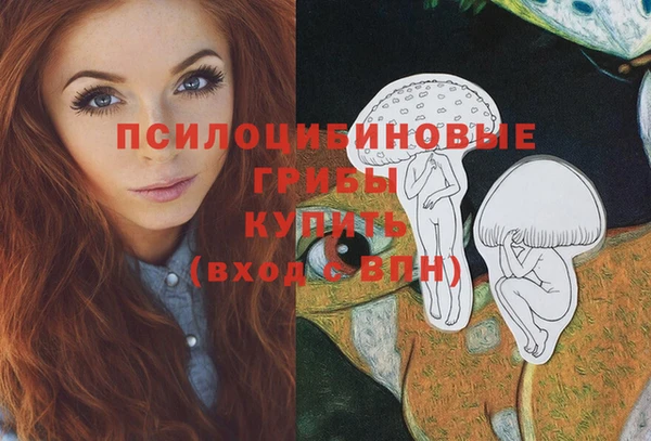 СК Аркадак