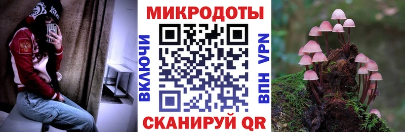 Псилоцибиновые грибы MAGIC MUSHROOMS  цены наркотик  Татарск 